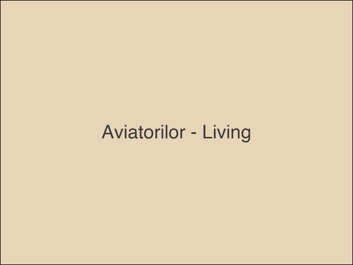 Garsonieră în Aviatorilor